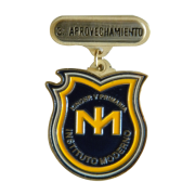 Medalla Instituto Moderno