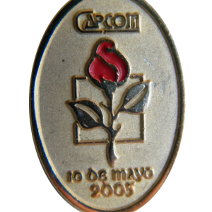Pin 10 de Mayo