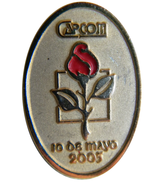 Pin 10 de Mayo