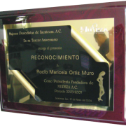 Placa de Reconocimiento