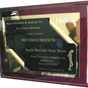 Placa de Reconocimiento