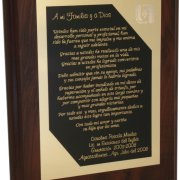 Placa Vertical