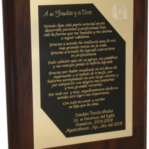 Placa Vertical