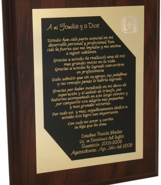 Placa Vertical