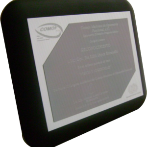 Placa Horizontal 1