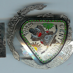 Placa Insignia Plateada