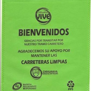 Bolsa para Automovil Sencilla