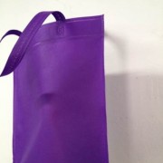 Bolsa Plan de Fondo con Asa